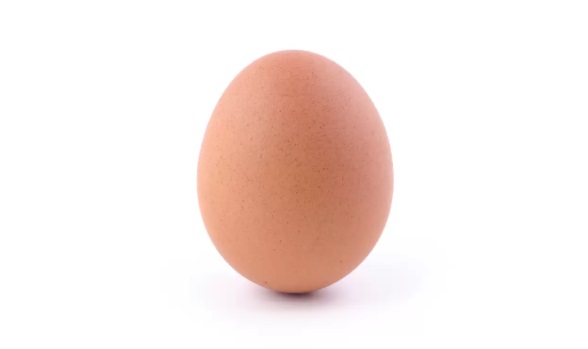 egg-yumurta-ingilizce-test-coz