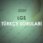 2020 LGS Türkçe Soruları Çöz