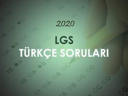 2020 LGS Türkçe Soruları Çöz