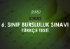 2020 İOKBS 6. Sınıf Bursluluk Sınavı Türkçe Soruları Çöz