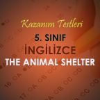 5. Sınıf İngilizce The Animal Shelter Testi Çöz