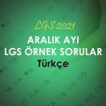2020 Aralık Ayı LGS Türkçe Örnek Sorular Çöz